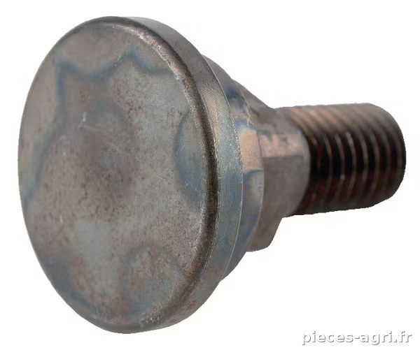 Boulon de lame · réf. E11697ASM