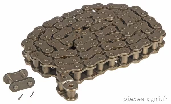 Chaîne roul. 1 1/4" 81R cpl. · réf. 900024840