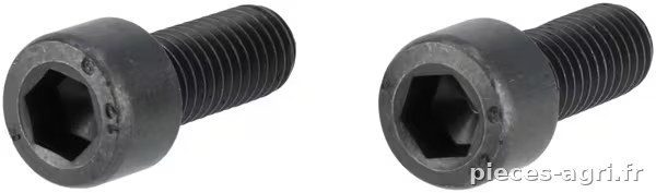Vis à tête hexagonale creuse M10x25 12.9 · réf. SA29691