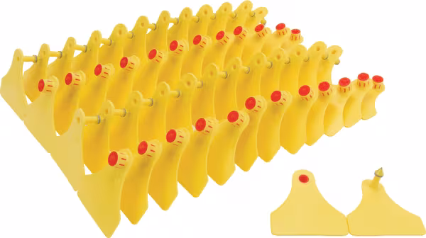 Marque d'oreille type F 25 pcs · réf. VV20221