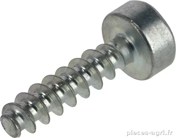 Vis perforante à tête cylindrique · réf. 90744784135