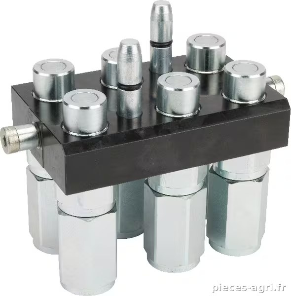 Raccord multiple DN12-6 x 1/2" BSPP prise amovible · réf. 3P608612GMC