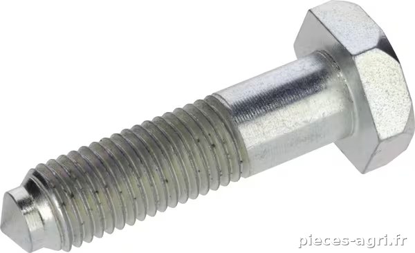 Vis de fixation de la lame (M10x1,25, L=45) · réf. 95504000020