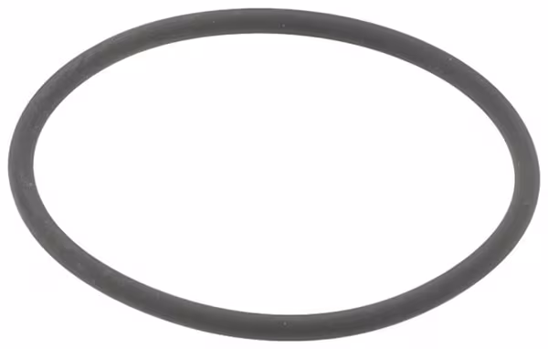 Joint torique 29,1 x 1,6 75 shore Viton 10x · réf. OR2910160VP010