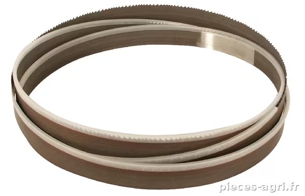 Scie ruban 1638x13x0,6 T=6/10 · réf. LZ16381306610