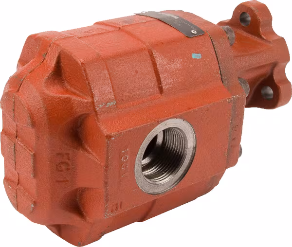 Pompe FP30.125D0-19T1 LGG/GG-N vue 2