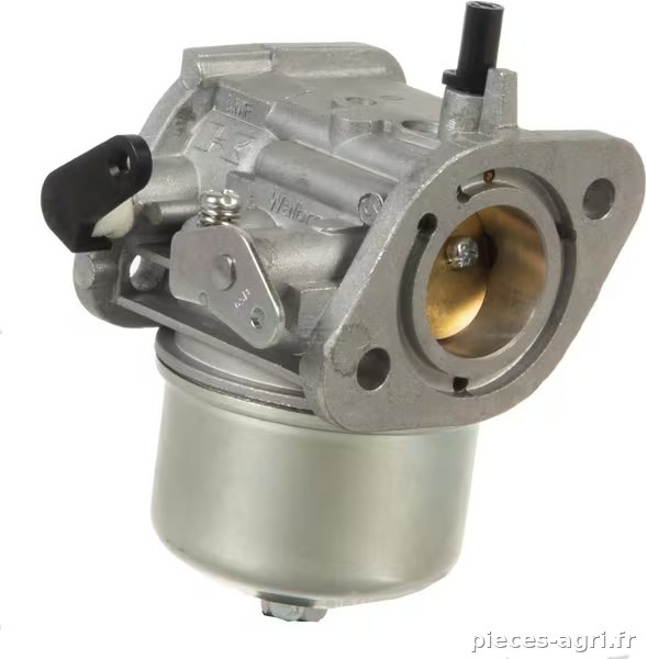 Carburateur vue 2
