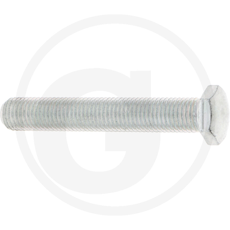 Carraro VIS À SIX PANS UNI 5739 M16X100 8.8 U · réf. 419124748