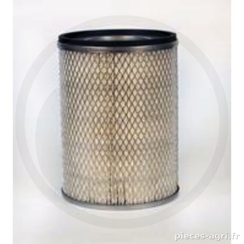 Fleetguard Filtre à air vue 2