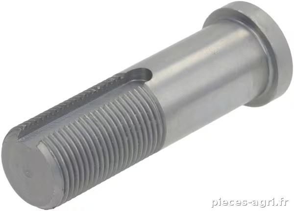 Vis d'axe pour le rouleau émietteur vue 2