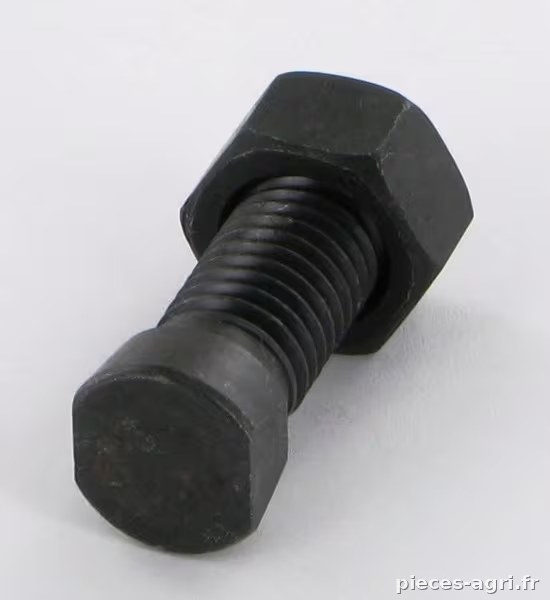 Boulon charrue TC12x38(CL12.9) + ecrou · réf. 020967
