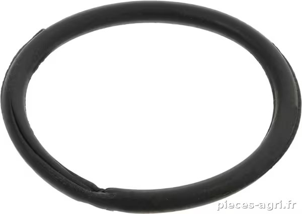 Bague de palier principale · réf. 2415608N
