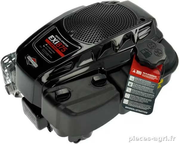 Moteur complet, 875EXi OHV · réf. 125P020012F1