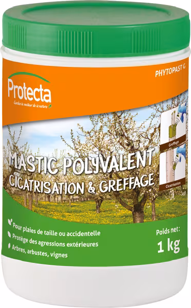 Mastic à greffer 1kg · réf. PVCIC01011