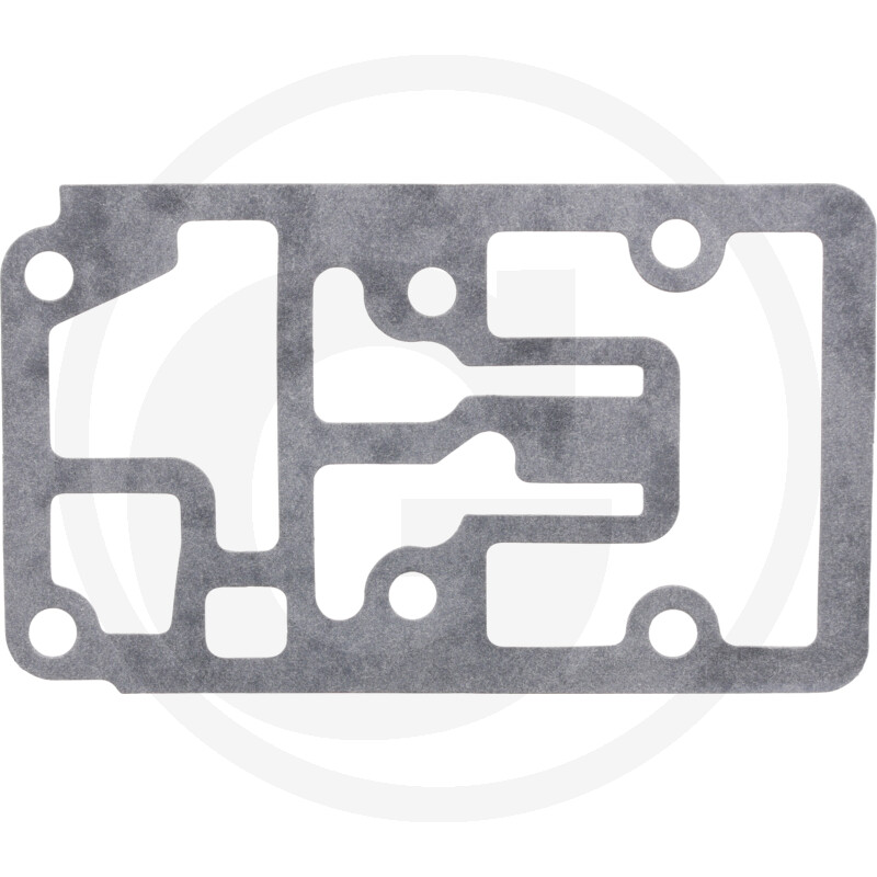 Carraro GASKET · réf. 419130242