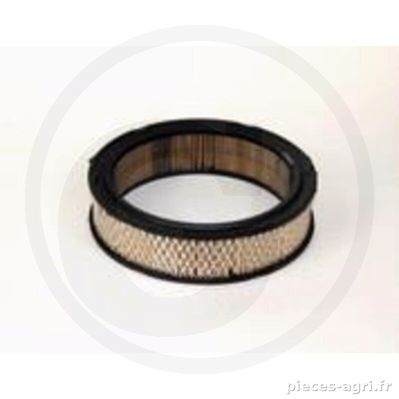 Fleetguard Filtre à air intérieur vue 2