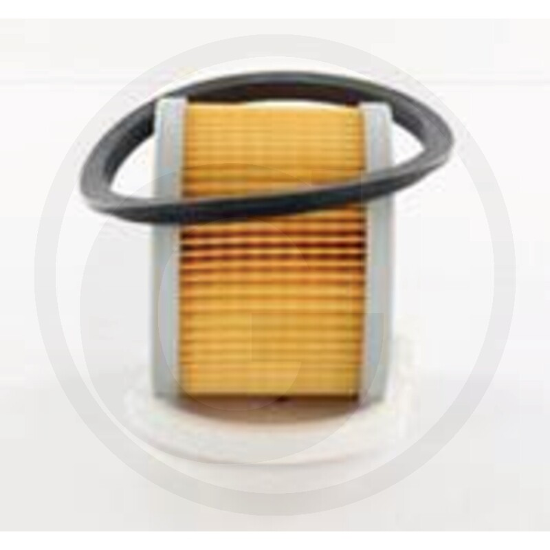 Fleetguard Filtre à carburant vue 2