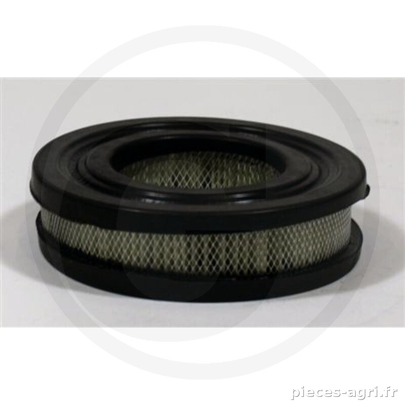 Fleetguard Filtre à air intérieur, AF251 vue 2