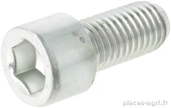 Vis cylindrique M14x30-8.8 DIN912 BK30 · réf. 3015874