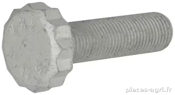 Boulon bi-hexagonal · réf. 04907209