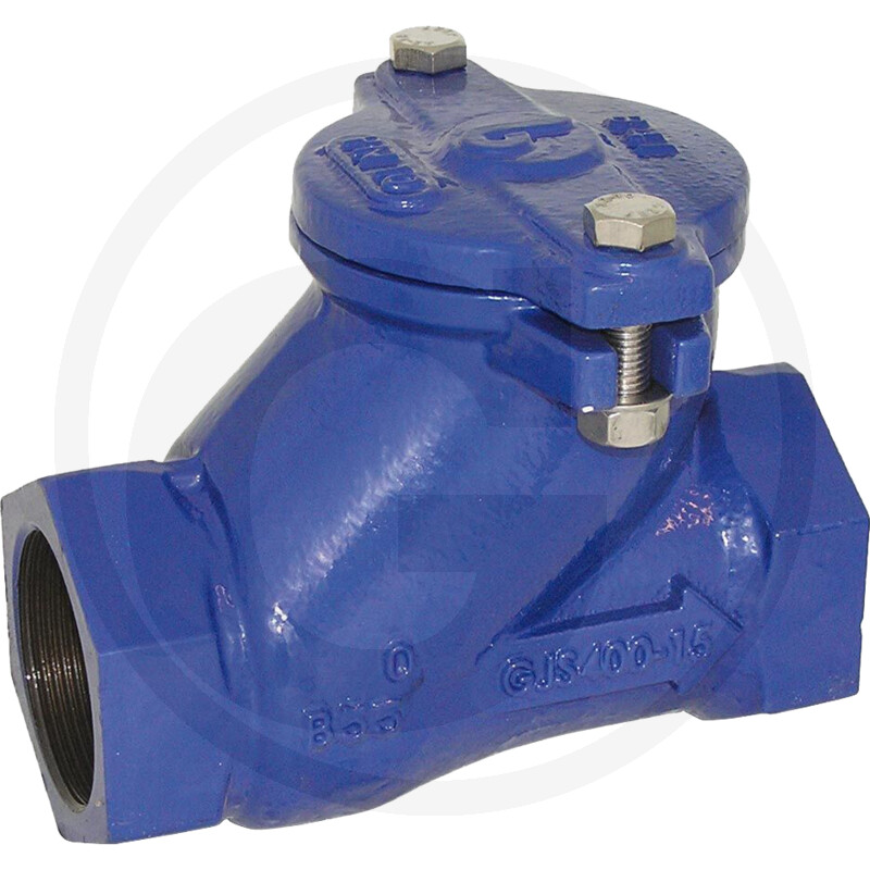 Watergates Clap. anti-r. bil. fil. m. 2" 0,2-10 bar · réf. 36209739