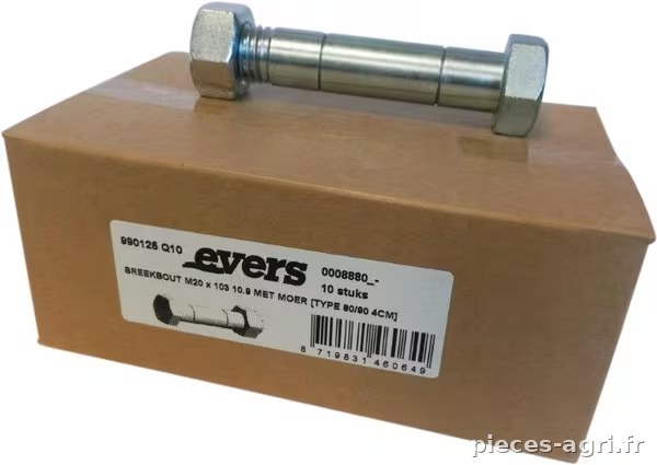 Boulon de cisaillement avec écrou (10x) M20x103 10.9 TYPE dent 4 cm  · réf. 990125Q10