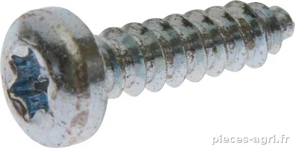 Vis autotaraudeuse TCB Torx 4,2 x 16 vue 2