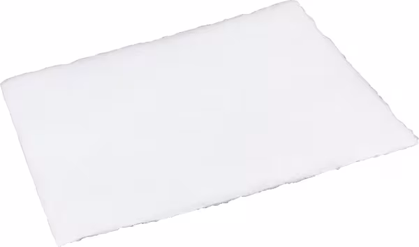 Tapis filtrants SK P003 · réf. SK3174000