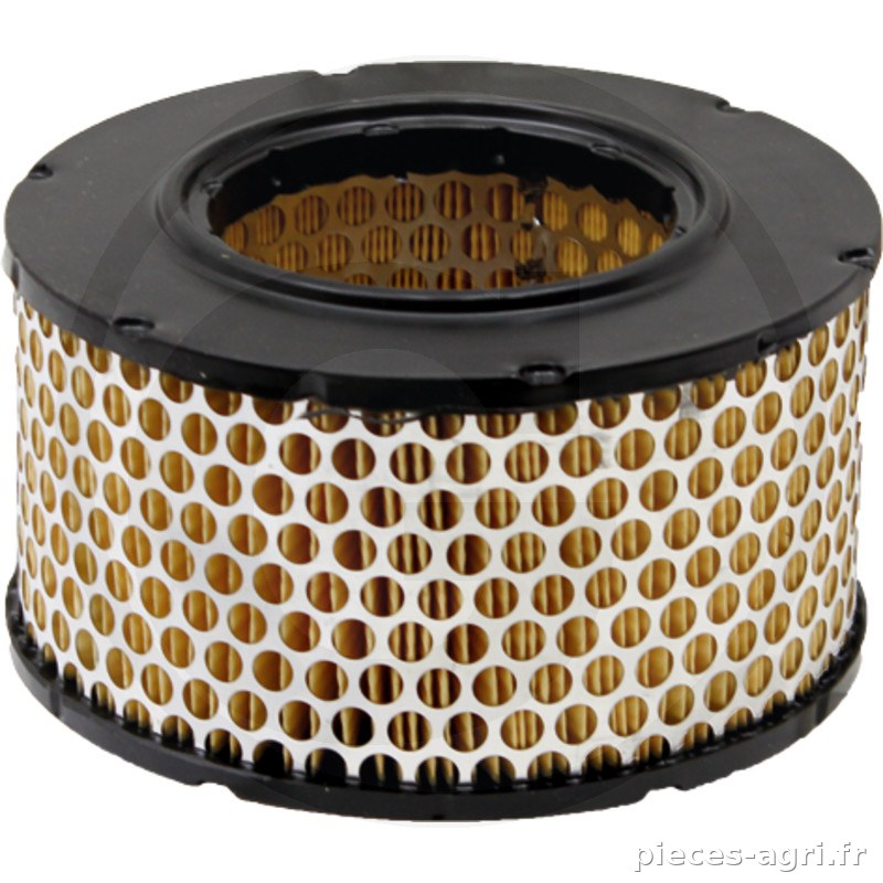Fleetguard Filtre à air intérieur vue 2