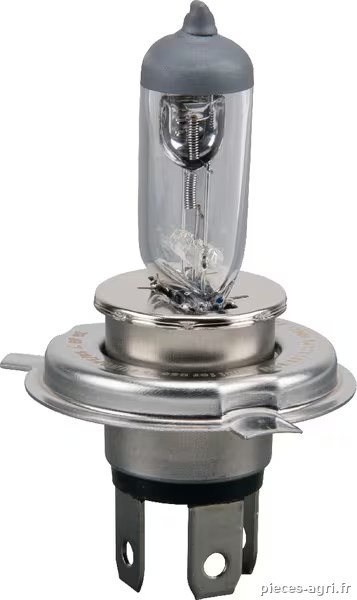 Ampoule 12V 100W/90W P43t Philips · réf. GL12569RAC1