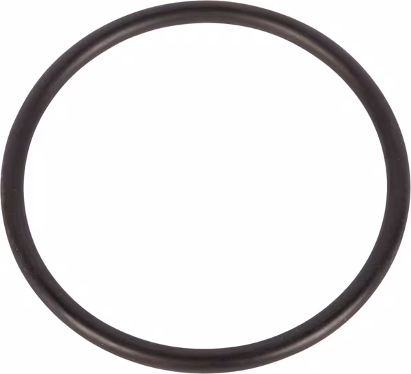 Bague · réf. 215301310N