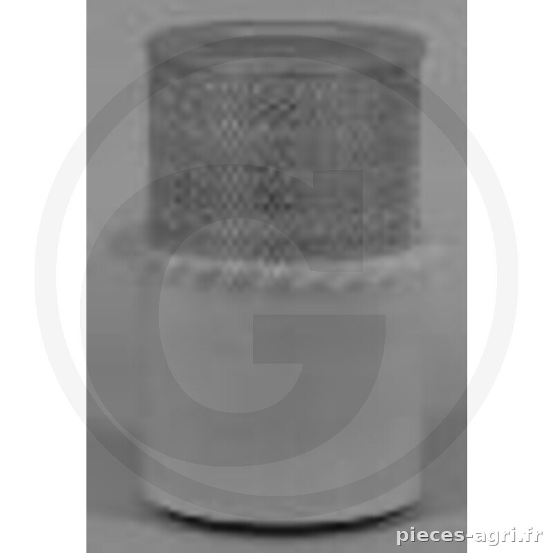 Fleetguard Filtre à air vue 2