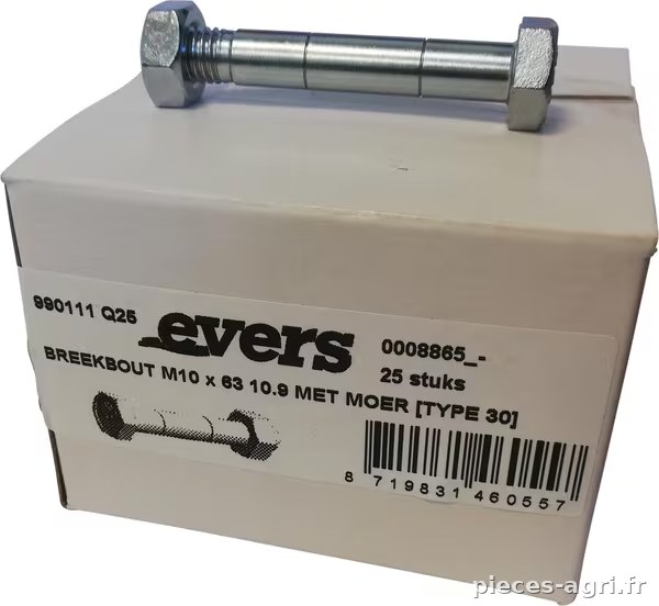 Boulon de cisaillement avec écrou (25x) M10x63 10,9 TYPE 30 · réf. 990111Q25