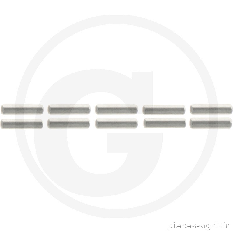 Carraro ROULEAU 5x19.8 (TENS OF 117874) vue 2