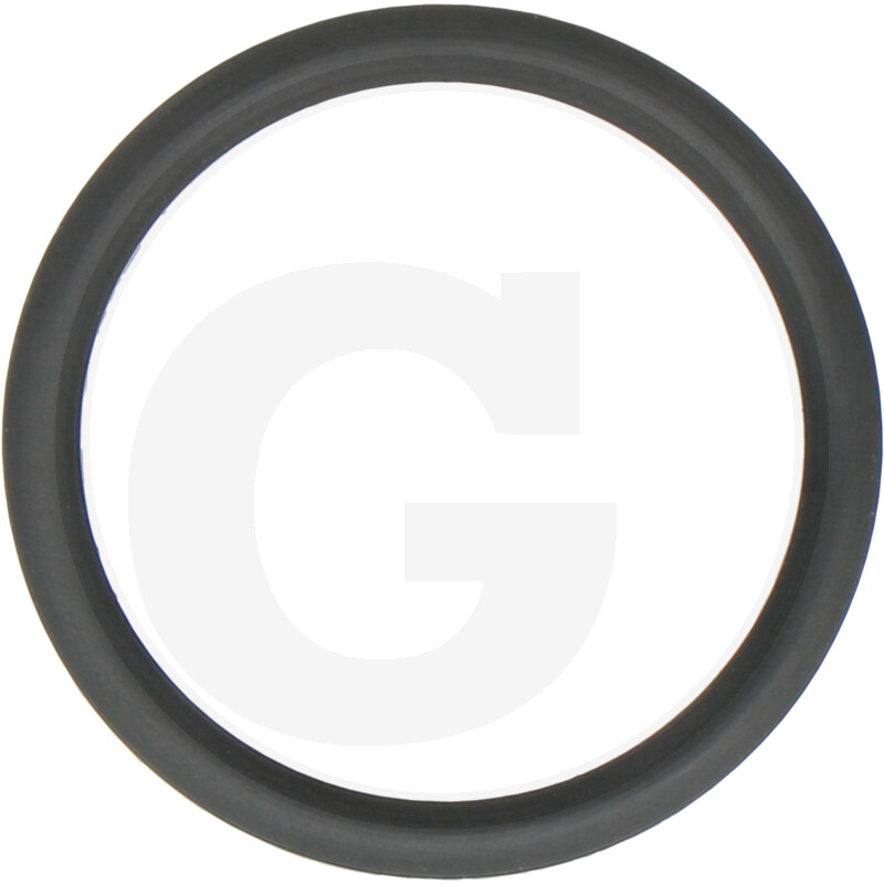 DANA Spicer Bague Antiextrusion · réf. 159738.07.010.01