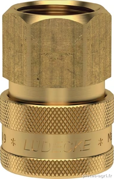 Raccord rapide f.fem. BSP 3/8" · réf. ESOIG38I