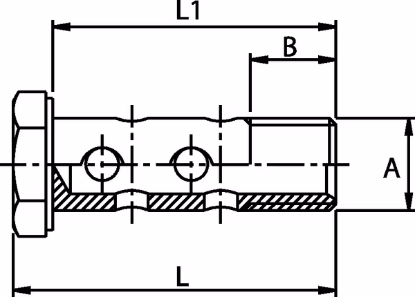 Boulon banjo 1/2BSP dopp. Scha vue 2