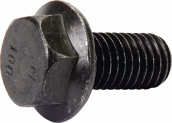Boulon Verbus Ripp M10x20 Rabe · réf. 84261309