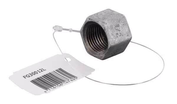 Bouchon hexagon zingué 1/2" · réf. FG30012L