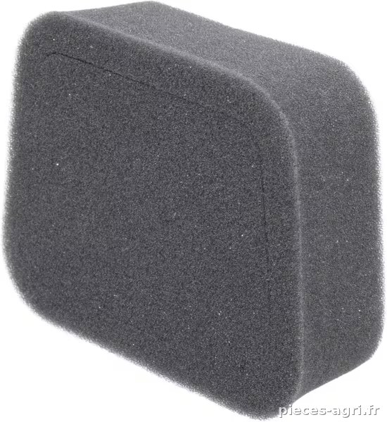Filtre à air vue 2
