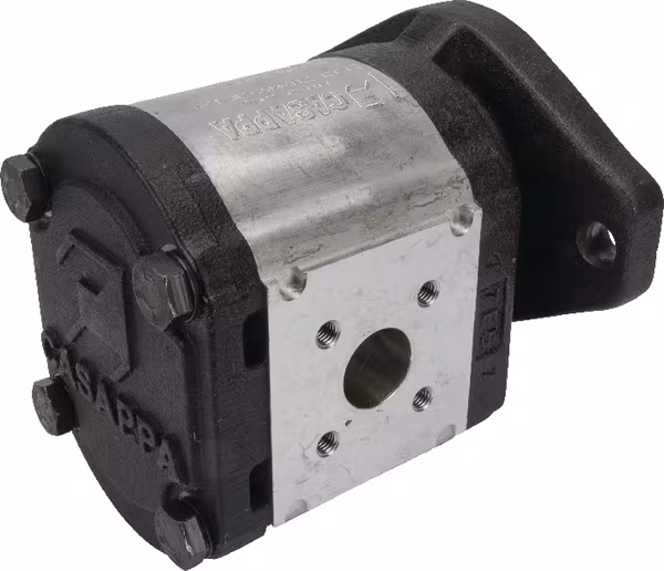 Pompe PLP30.27D0-04S5-LBM/BL-N vue 2