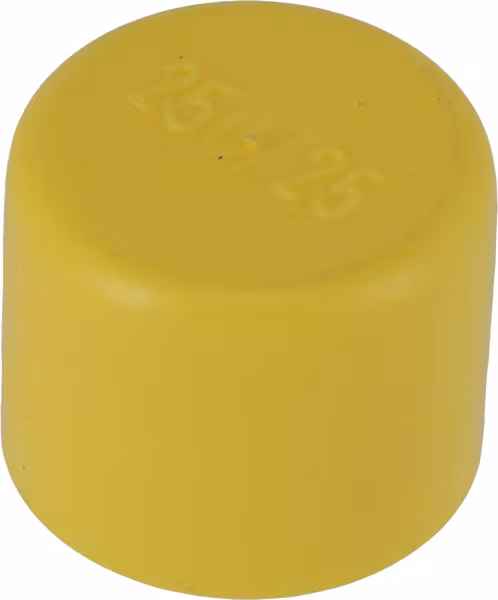 Bouchon de protection de tube Gpn 250/25 · réf. AC688164