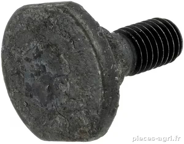 Boulon de lame 10X32, ancienne version · réf. 154005506