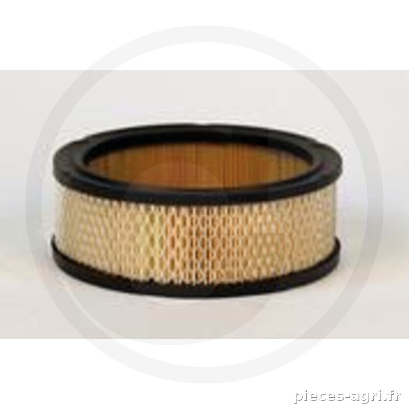 Fleetguard Filtre à air vue 2
