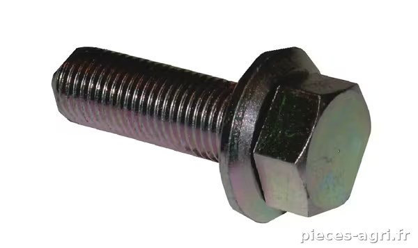 Boulon M10x1x30 mm · réf. FGP453064