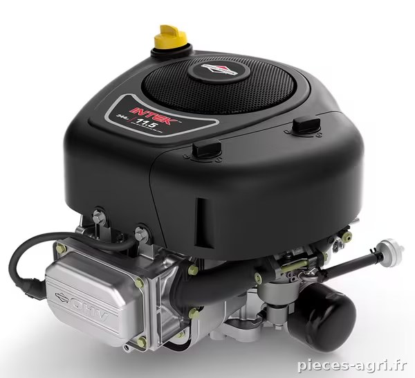 Moteur, vertical, 12,9 HP, série Intek 3130, Briggs & Stratton · réf. 21R8770021B5