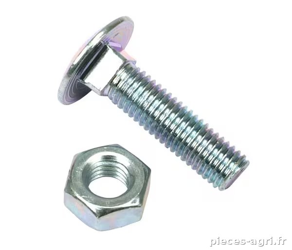 Vis TRCC DIN603 M10x 40 mm (x50) · réf. VLG2355