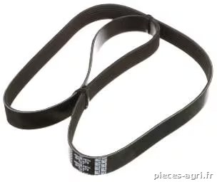 courroie trapézoïdale · réf. 504038672FPT