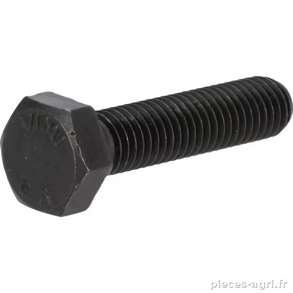 Boulon hexagonal · réf. 01138693