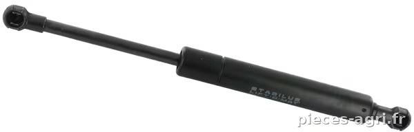 Verin a gaz L250-750N Stabilus vue 2